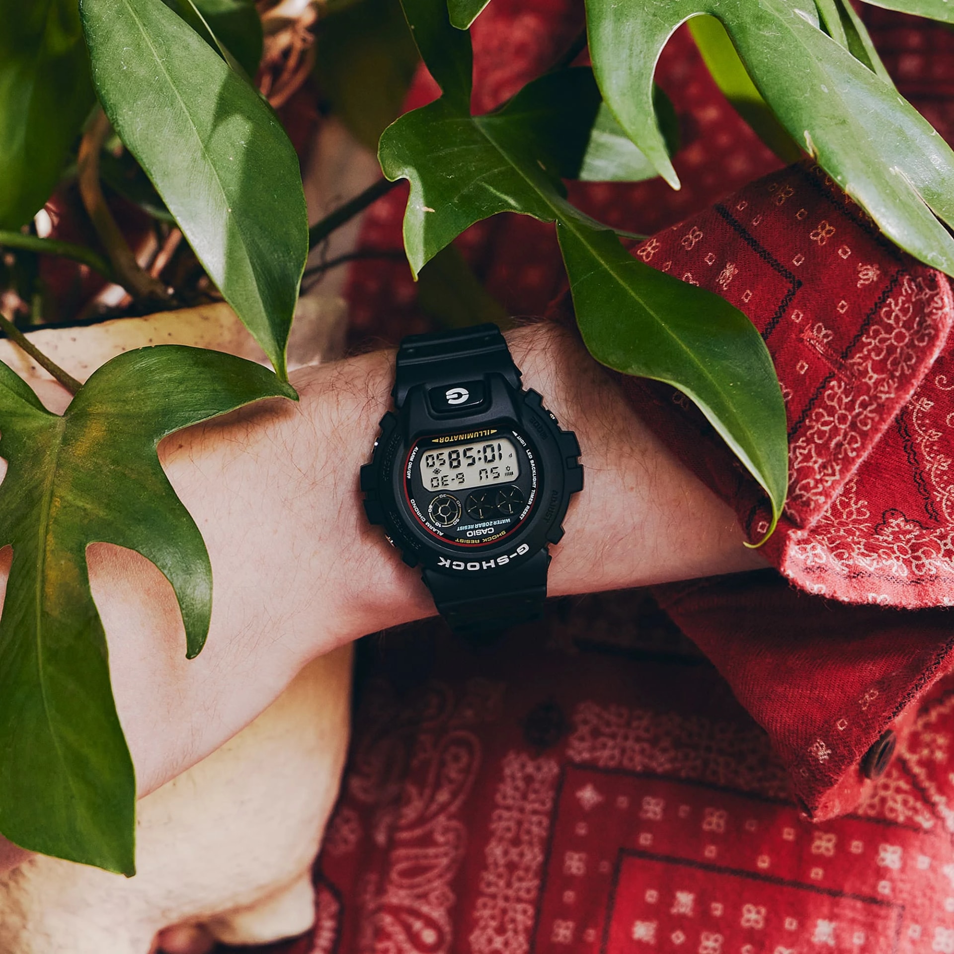 G-Shock DW-6900RL-1DR